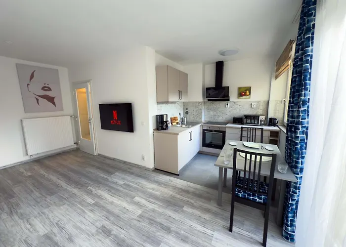 Appartement Ruhiges Saniertes Bei Hamburg Parkplatz Balkon Wlan Reinbek